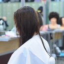 정혜경헤어