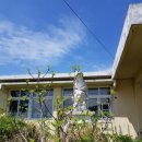 안태초등학교 이미지