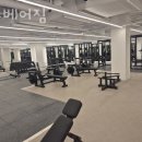 GS25 행신가라뫼점 네이버블로그