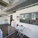 동물친구들 애견미용실 | 김해 삼계 애견미용실 댕댕모아 후기!!