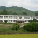 동초등학교 Daum카페