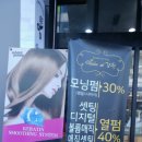 살롱 드 강현