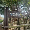 정남진테마숲 이미지