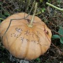 73)46번 버스를 타는 사람들 이미지