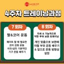 피티메이드