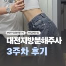 한온시스템(주)대전공장 | 대전 뱃살 잘빼는 다이어트병원 지방분해주사 내돈내산 솔직후기 +눈바디변화