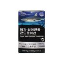 에버그린 이미지