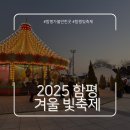 읍시가지 | 연말 분위기 가득한 2025 함평 겨울 빛축제 | 크리스마스 느낌의 야간 축제 추천
