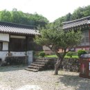 산청 단성현 호적장부 이미지