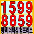 평택-110V | 평택 더맥심 험프리스 투자가치