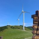 파랑새목장 이미지