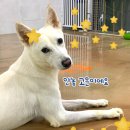 잠꾸러기 - 파주시 가재울로93번길 25-9 | 잠꾸러기