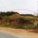 북면사무소 이미지