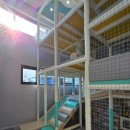 헬로키즈풀빌라 이미지