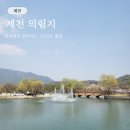 제천댁이 알려주는 제천 의림지 200% 즐기는 꿀팁 (놀이동산, 물놀이터, 맛집, 카페)