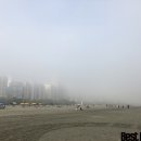 프로제토 이미지