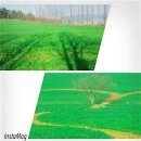 향교농장 이미지