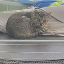 준세탁소 이미지