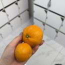 커스텀 피티짐 연산점 | 부산 여성 헬스장 pt 연산동 스페이스 피티샵 솔직후기