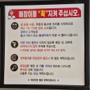 맘스터치(마산점) | 마산 현동, 주말 아점, 간편 메뉴 맘스터치