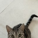 호수공원14로 이미지