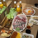 12월 제주도 여행 2일차_제주올패스, 오설록, 감귤따기, 서귀포올레시장