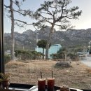 용흥356