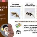 폴리네시아게코