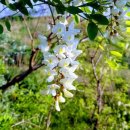 SKY.STAR.SEA 이미지