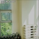 바디랩 그룹트레이닝 & PT 강변점 이미지