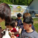 다다예술학교 이미지