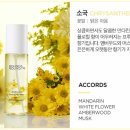 헤어앤영 이미지
