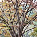 엔학고레 - 완주군 동상로 1430-6 | 엔학고레