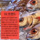 주식회사 비엔티