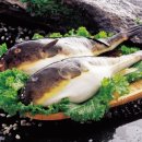 명가복어 이미지