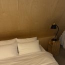 선흘숲 | [제주 숙소] 스테이선흘숲, 독채, 조천읍 숙소,내돈내산 솔직후기