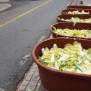 산성가마솥 이미지