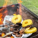 (주) 타이가든 이미지