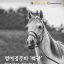 백광 이미지