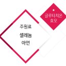 셀드림 이미지