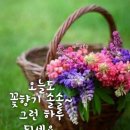 고향보리밥 네이버블로그