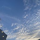 포차끝판왕강릉점 이미지