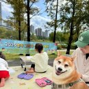 색연필 그림그리기 | [육아일상] 동탄호수공원 그림그리기 대회 참가 후기