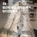 버스정류소_발산역3번출구 | 발산역 네일 추천, 반디인하우스 발산점 오가닉 패디스파 9단계 발각질 제거로 아기 발 된 후기