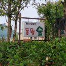 충청도글램핑장 또오고픈 무한리필 BBQ 바베큐 계룡산글램핑 동월숲 힐링후기