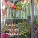 에레즈플라워