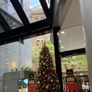 [호주 자유여행]시드니 시내 숙소 추천 - 메리톤 스위트 켄트 스트릿 호텔(Meriton Suites Kent Street...