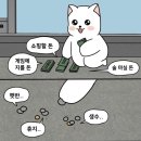 🔅은뚜루마뚜루 7월 모음집🔅(라고쓰고 “누룩꽃노예의 삶”이라고 읽는다.)
