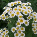 나눔허브 이미지