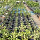 시온농장 이미지